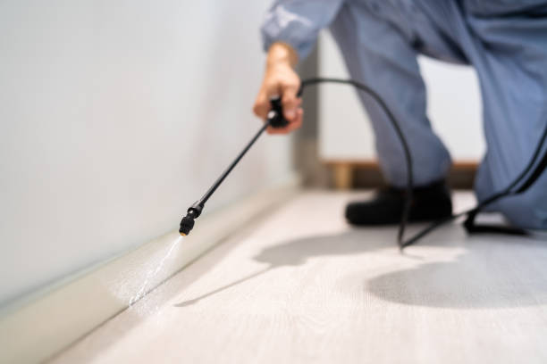 Professional exterminator conducting IPM assessment in Sigourney